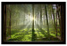 Large canvas print Dawn in the Forest [Large Format] 125622