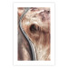 Wall Poster Mountain Serpentine - abstract brown texture in artistic style 129722 additionalThumb 18