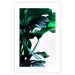 Wall Poster Flexible Leaves - plant with green leaves on a contrasting background 129922 additionalThumb 25