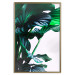 Wall Poster Flexible Leaves - plant with green leaves on a contrasting background 129922 additionalThumb 21
