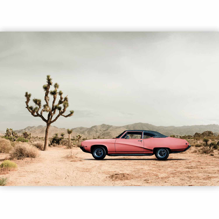 Photo Wallpaper Pink, American classic - photo of desert with car and mountains 136322 additionalImage 1