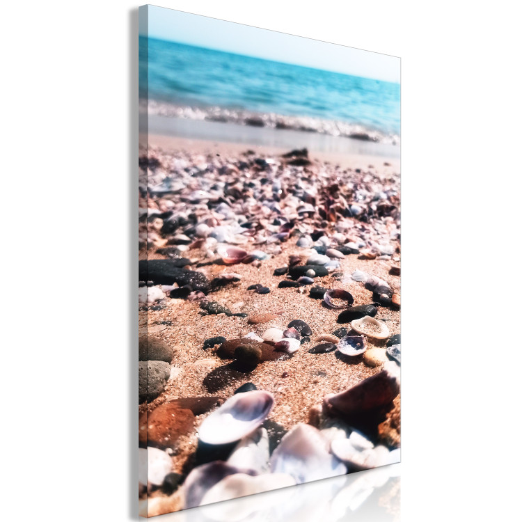 Canvas Summer Beach - Seashells Landscape on the Shore of the Blue Sea 146222 additionalImage 2