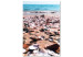 Canvas Summer Beach - Seashells Landscape on the Shore of the Blue Sea 146222