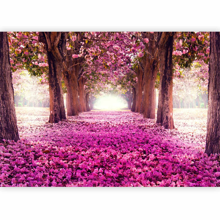 Photo Wallpaper Pink path 60422 additionalImage 1