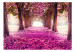 Photo Wallpaper Pink path 60422 additionalThumb 1