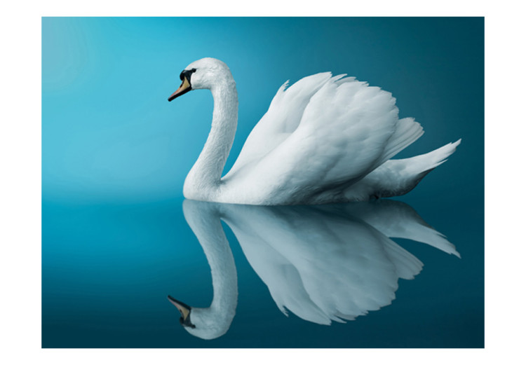 Photo Wallpaper Swan - reflection 61322 additionalImage 1
