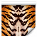 Modern Wallpaper Animal theme - Tiger 89322 additionalThumb 6