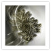 Poster Oak Leaf - botanical abstraction in waves and leaves on a silver background 120832 additionalThumb 19