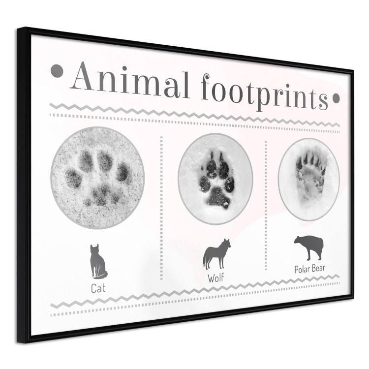 Poster Paw Prints - animal paw prints with black signatures and graphics 122932 additionalImage 12