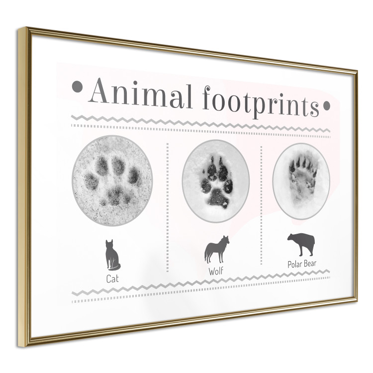 Poster Paw Prints - animal paw prints with black signatures and graphics 122932 additionalImage 8
