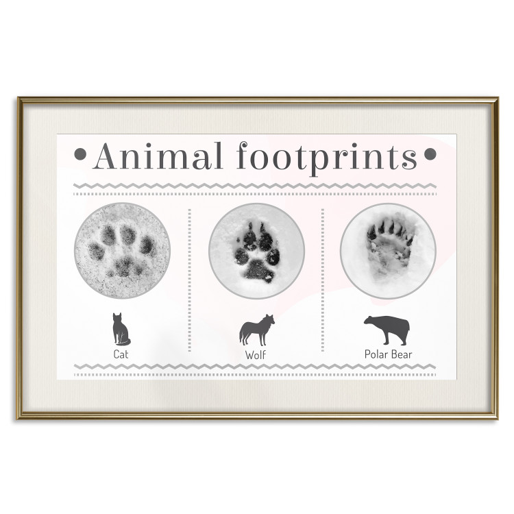 Poster Paw Prints - animal paw prints with black signatures and graphics 122932 additionalImage 19