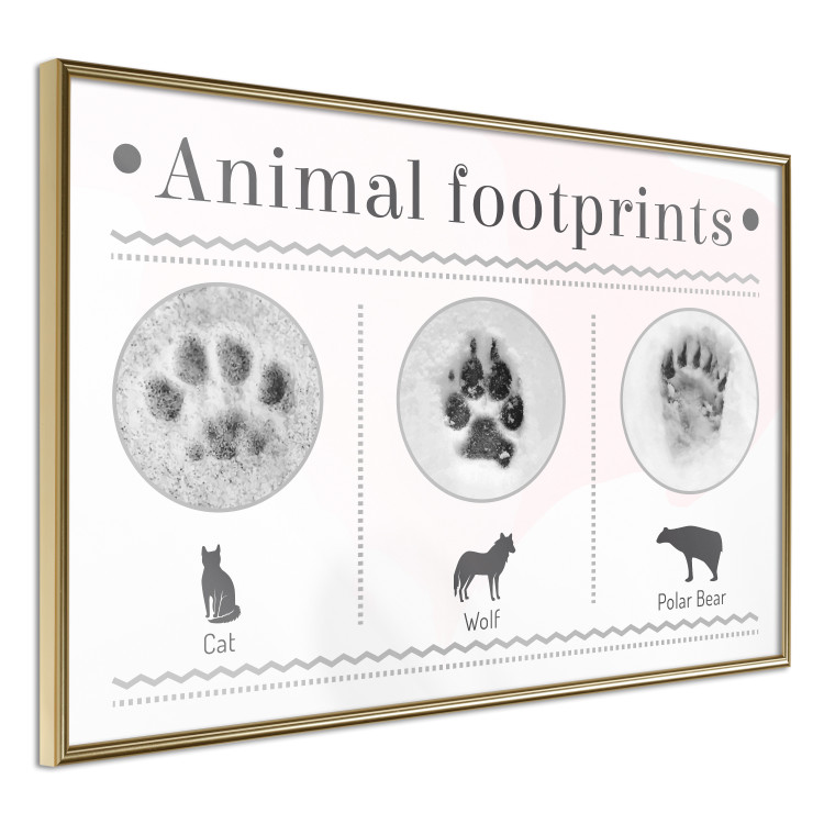 Poster Paw Prints - animal paw prints with black signatures and graphics 122932 additionalImage 14
