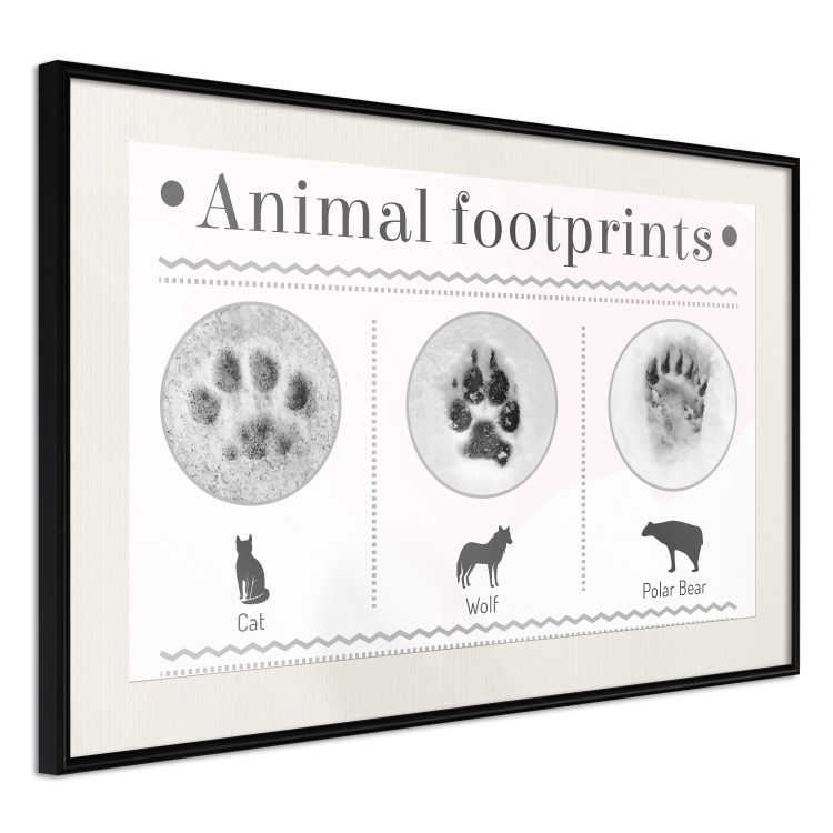 Poster Paw Prints - animal paw prints with black signatures and graphics 122932 additionalImage 3