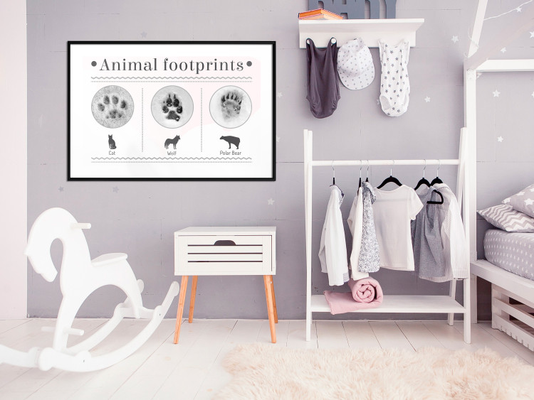 Poster Paw Prints - animal paw prints with black signatures and graphics 122932 additionalImage 6