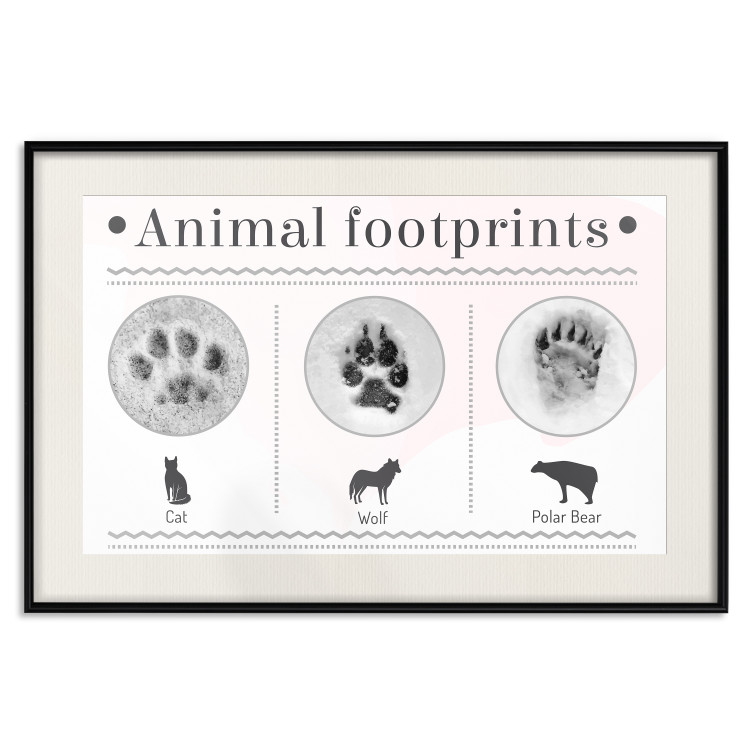 Poster Paw Prints - animal paw prints with black signatures and graphics 122932 additionalImage 18