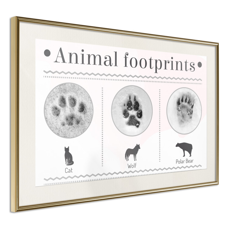 Poster Paw Prints - animal paw prints with black signatures and graphics 122932 additionalImage 2