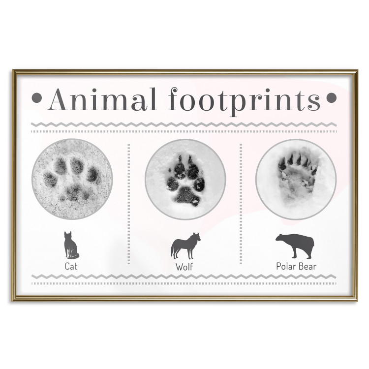 Poster Paw Prints - animal paw prints with black signatures and graphics 122932 additionalImage 20