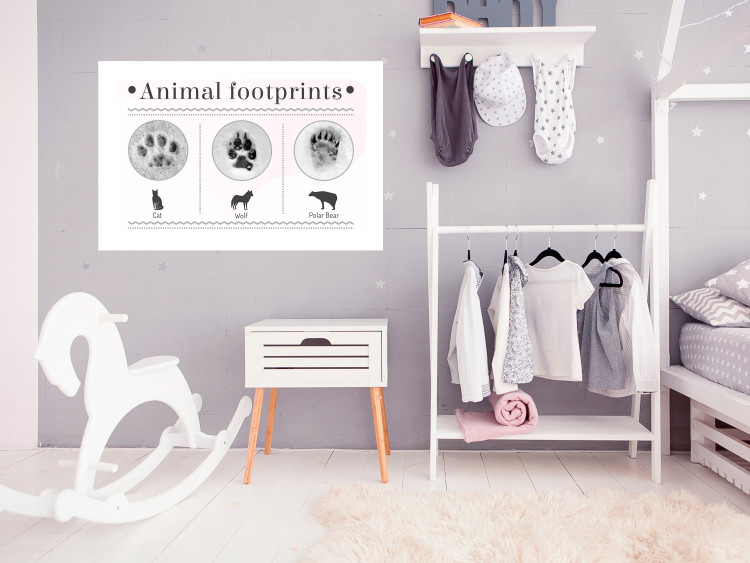Poster Paw Prints - animal paw prints with black signatures and graphics 122932 additionalImage 4