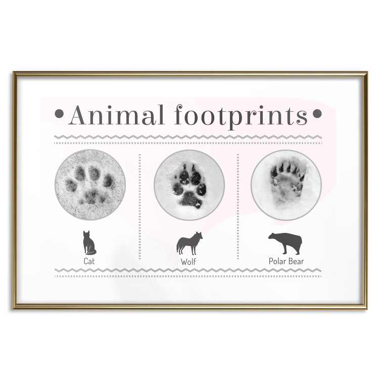 Poster Paw Prints - animal paw prints with black signatures and graphics 122932 additionalImage 16