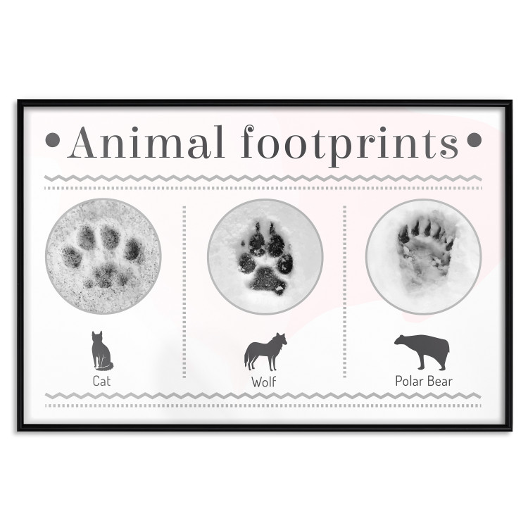Poster Paw Prints - animal paw prints with black signatures and graphics 122932 additionalImage 24