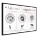 Poster Paw Prints - animal paw prints with black signatures and graphics 122932 additionalThumb 12