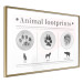 Poster Paw Prints - animal paw prints with black signatures and graphics 122932 additionalThumb 8