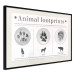 Poster Paw Prints - animal paw prints with black signatures and graphics 122932 additionalThumb 3