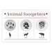 Poster Paw Prints - animal paw prints with black signatures and graphics 122932