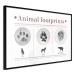 Poster Paw Prints - animal paw prints with black signatures and graphics 122932 additionalThumb 13