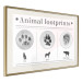 Poster Paw Prints - animal paw prints with black signatures and graphics 122932 additionalThumb 2