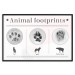 Poster Paw Prints - animal paw prints with black signatures and graphics 122932 additionalThumb 24