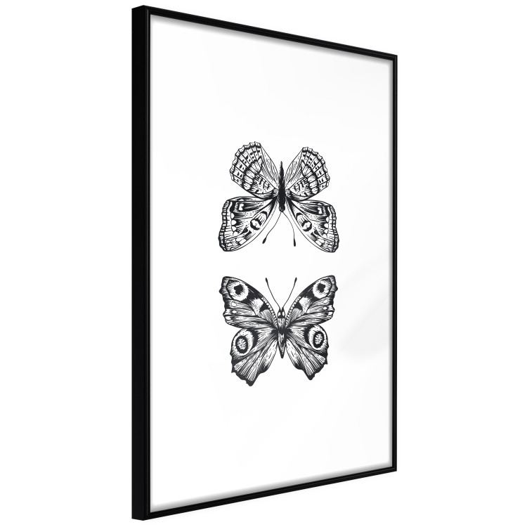 Poster Two Butterflies - black and white insects with various patterns on wings 123132 additionalImage 12