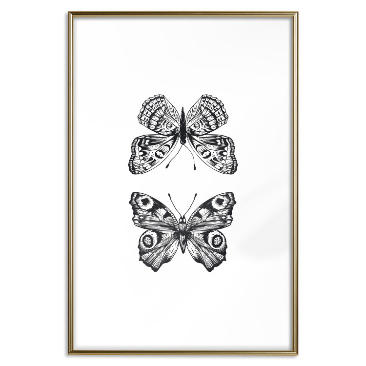 Poster Two Butterflies - black and white insects with various patterns on wings 123132 additionalImage 20