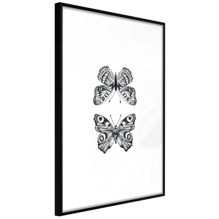 Poster Two Butterflies - black and white insects with various patterns on wings 123132 additionalImage 11