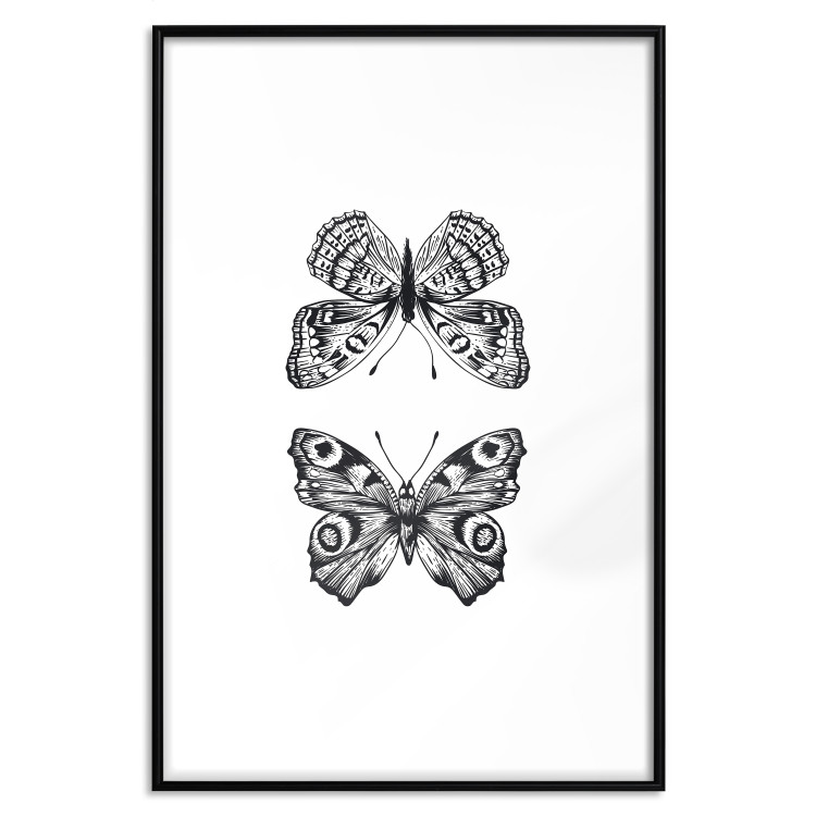 Poster Two Butterflies - black and white insects with various patterns on wings 123132 additionalImage 24