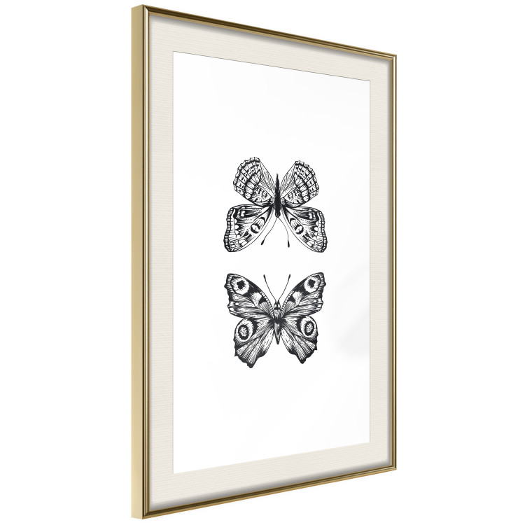 Poster Two Butterflies - black and white insects with various patterns on wings 123132 additionalImage 2