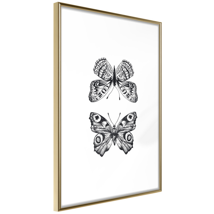 Poster Two Butterflies - black and white insects with various patterns on wings 123132 additionalImage 14