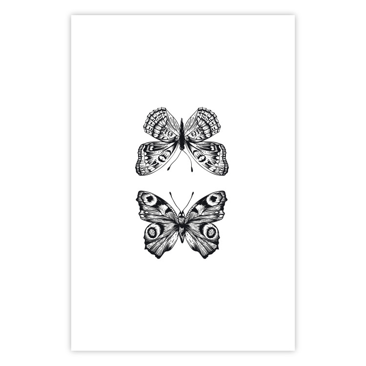 Poster Two Butterflies - black and white insects with various patterns on wings 123132 additionalImage 25