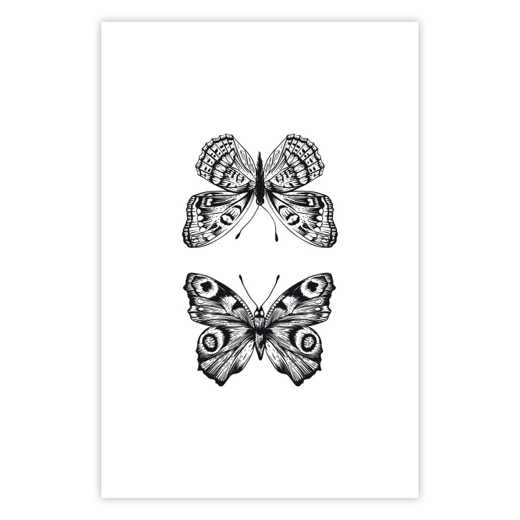 Poster Two Butterflies - black and white insects with various patterns on wings 123132