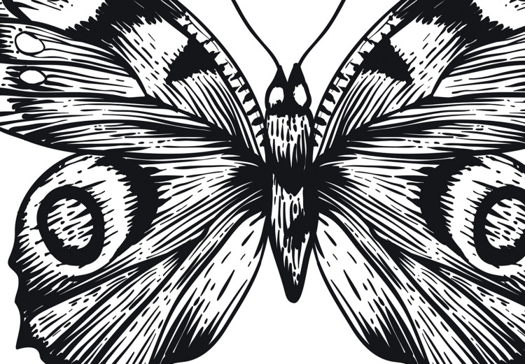 Poster Two Butterflies - black and white insects with various patterns on wings 123132 additionalImage 8