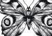 Poster Two Butterflies - black and white insects with various patterns on wings 123132 additionalThumb 10