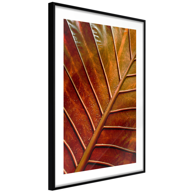 Wall Poster September Dusk - detailed leaf texture in autumn colors 123932 additionalImage 10