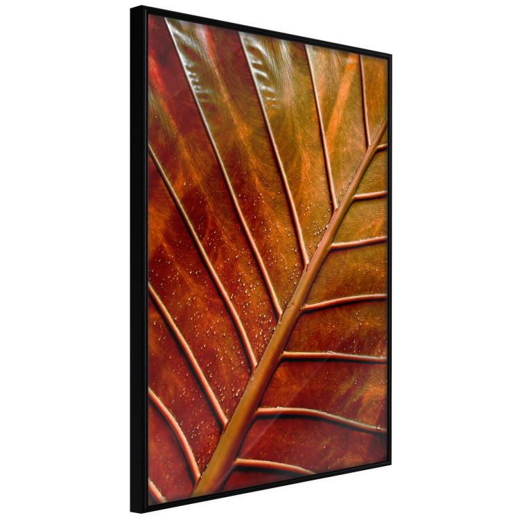Wall Poster September Dusk - detailed leaf texture in autumn colors 123932 additionalImage 9