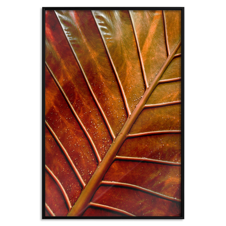 Wall Poster September Dusk - detailed leaf texture in autumn colors 123932 additionalImage 16