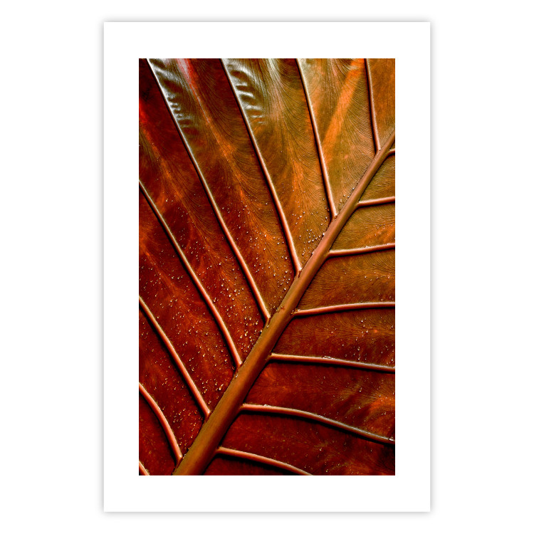 Wall Poster September Dusk - detailed leaf texture in autumn colors 123932 additionalImage 18