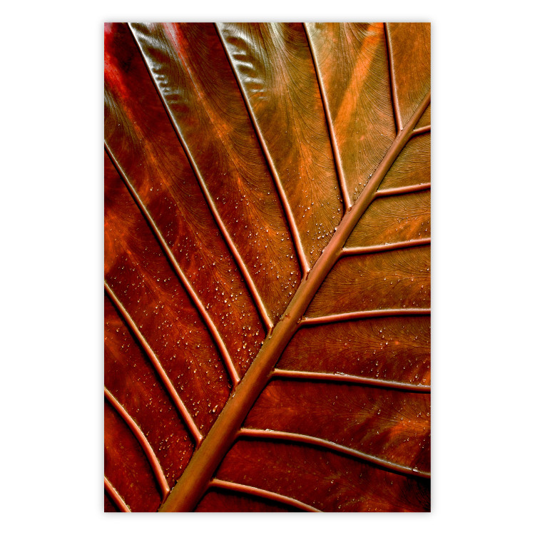 Wall Poster September Dusk - detailed leaf texture in autumn colors 123932
