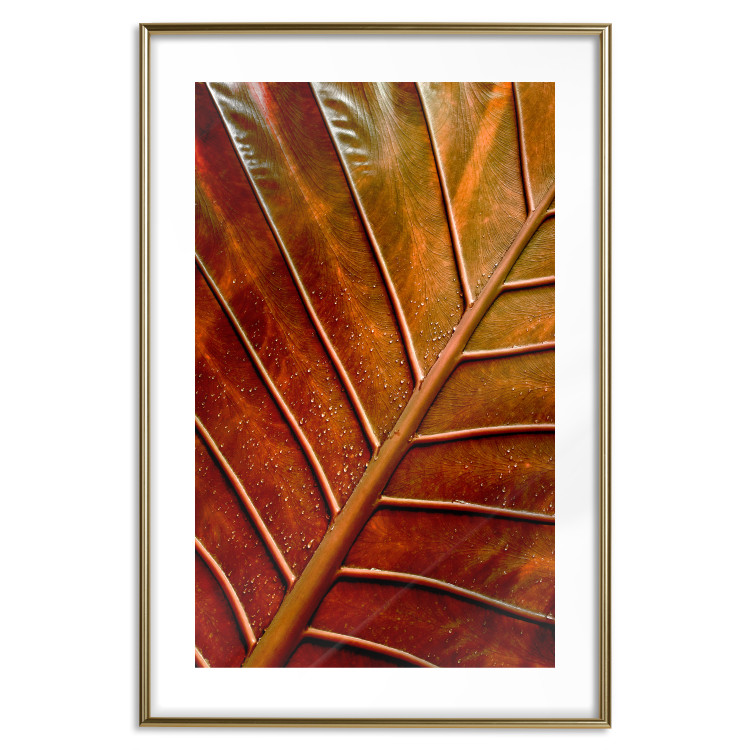 Wall Poster September Dusk - detailed leaf texture in autumn colors 123932 additionalImage 13