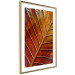 Wall Poster September Dusk - detailed leaf texture in autumn colors 123932 additionalThumb 5