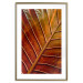 Wall Poster September Dusk - detailed leaf texture in autumn colors 123932 additionalThumb 13