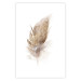 Wall Poster Transience (Beige) - velvety feather in a single color on a white background 125232 additionalThumb 25